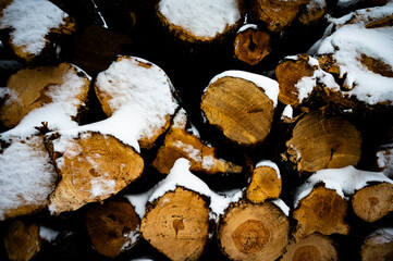 A stack of snow-covered tree trunks in a winter setting, hiking in snow and icy temperatures around the Th&uuml;lsfeld reservoir, Cloppenburg, Lower Saxony, Germany