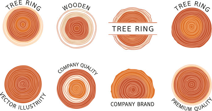 Vintage wood slice logo collection, rustic tree ring cross section vector illustrations, timber growth rings, organic wooden brand icons, isolated forestry graphic design elements.