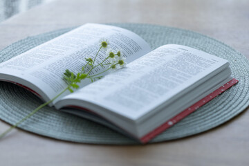 Fototapeta premium New Testament opened book in Russian language on a table with white flowers on it. Holly Bible.