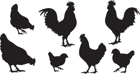 Obraz premium Black silhouettes of chickens and roosters on white background 1