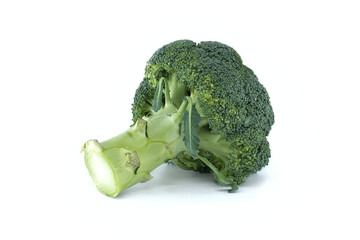 Fresh green broccoli head isolated on a clean white background for healthy eating concepts