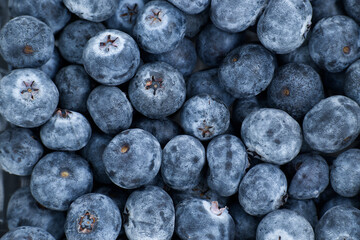 Close-up macro view of fresh, ripe blueberries filling the entire frame with natural texture