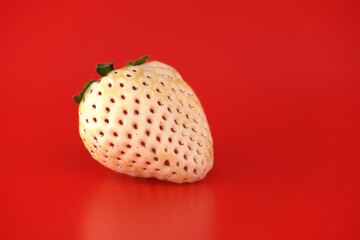 Unique white pineberry strawberry with red seeds on a vibrant red background