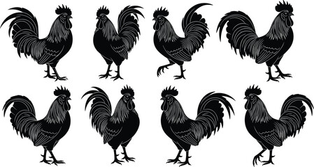 Set of eight detailed rooster silhouettes in various poses featuring intricate feather patterns for farm, agriculture, and organic food branding. © Sahidul