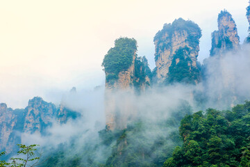 Fototapeta premium many sandstone columns and cliffs at Zhangjiajie national forest park,Wulingyuan,Hunan,China 