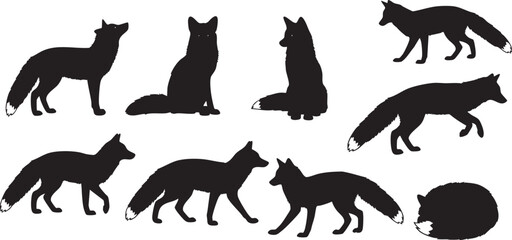 Obraz premium Black silhouettes of foxes in various poses white background animals