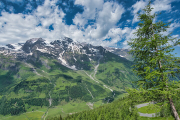 Obraz premium Scenic Grossglockner High Alpine Road Winding through Snowy Mountain Peaks and Green Valleys