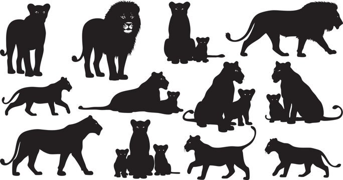 Black silhouettes of various big cats and cubs on white background lion cub panther leopard jaguar