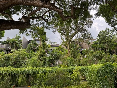 Luxury residential wing of The Club Residences by Capella Singapore with pool and lush tropical greenery, Sentosa Island, April 2025 