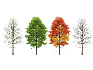 Obraz premium Four seasons trees isolated on transparent background 