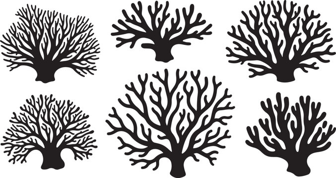 Black Coral Silhouettes on White Background Ocean Illustration Set