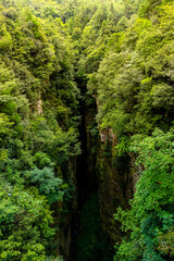 Obraz premium hallelujah mountain in Zhangjiajie national forest park,hunan,china