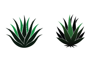 Aloe Vera Plant Silhouette Icon Vector Illustration Medicinal Succulent Plant 