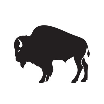 bison silhouette vector
