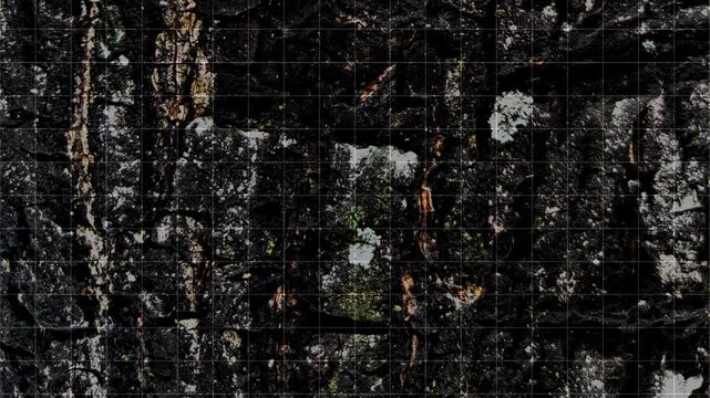 rough detailed vintage tree bark hardwood texture surface with moving up square grid loop in stop motion background animation