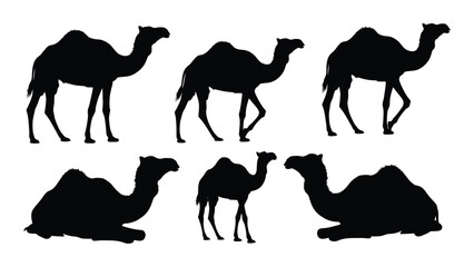 Black silhouettes of camels in various poses standing walking and resting