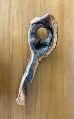downed branch for natural rustic decoration