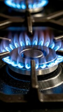 A vivid close-up shot captures the intense blue flame emanating from a gas stove burner, showcasing the powerful heat and efficient energy delivery of this essential kitchen appliance. The steady, bri