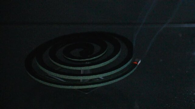 A burning green mosquito coil, a type of incense typically made from a dried paste of pyrethrum powder.