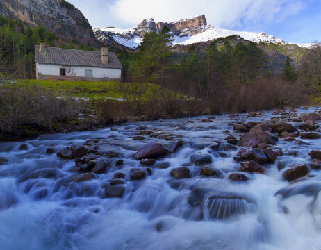 A Haven of Peace: The Subordan River in the Oza Forest, Hecho Valley.