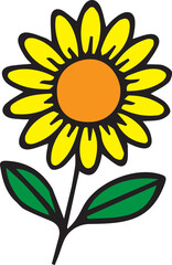sunflower vector illustration