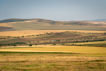 Obraz premium Wide landscape with rolling hills and fields in a rural area during daytime under a clear sky