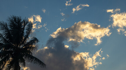 Palm Tree Silhouette Against Cloudy Sky