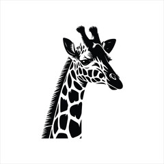 giraffe isolated on white, giraffe head isolated, giraffe isolated on white background. © TAHSIN