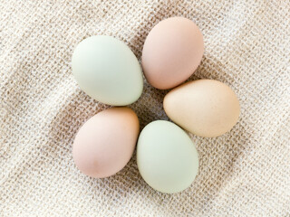 five different color eggs laid by backyard chickens
