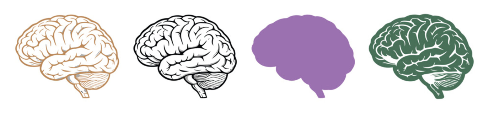 Brain or mind side view flat vector icon set