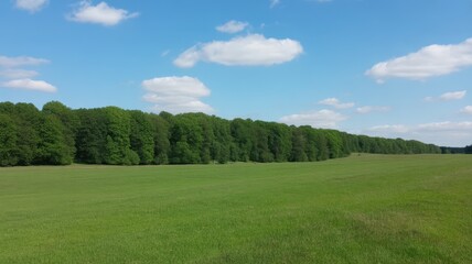 Beautiful landscape of a lush green meadow and forest under a blue sky with white clouds in summer.