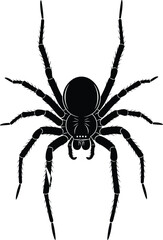 Black spider silhouette illustration isolated on white background showing detailed arachnid insect shape for halloween vector design