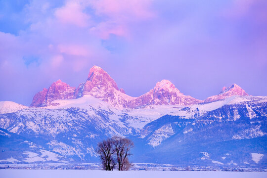 Teton Mountain Range Idaho Side Sunset Alpen Glow in Winter Blue with Dramatic Clouds