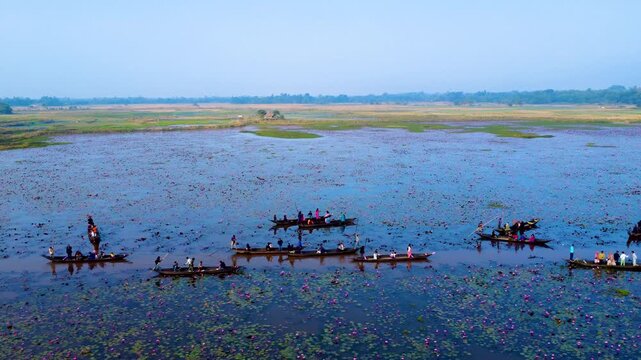 Drone view of a row of boats on the Dibir Lake (Kingdom of Shapla) a beautiful and famous tourist spot located at the foot of the Meghalaya hills in Jaintapur, Sylhet, near the Bangladesh-India border
