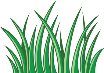 Fototapeta premium Green grass illustration. Fresh grass nature background. Natural green grass field. Grass landscape illustration. Lush green grass background. Meadow grass nature scene. Spring grass illustration