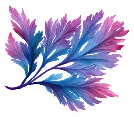 Obraz premium Watercolor botanical illustration of stylized, feathery leaves in shades of blue, pink, and purple