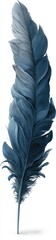 Fototapeta premium A detailed digital illustration of a solitary feather with blue-gray tones against a white background