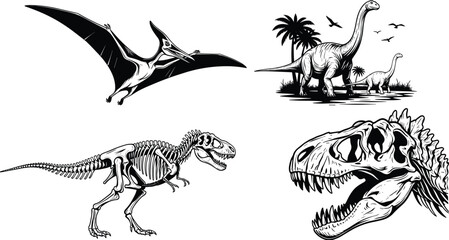 Hand Drawn Monochromatic Vector Set of Prehistoric Dinosaurs Including Pterodactyl, Brachiosaurus, T-Rex Skeleton and Fossil Skull Isolated Illustrations © Saila