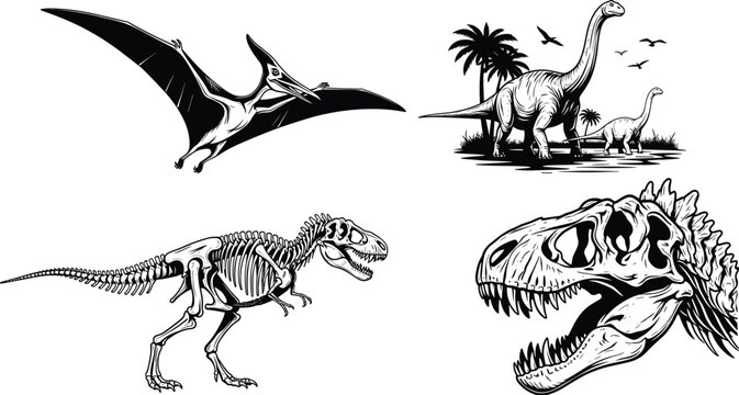 Hand Drawn Monochromatic Vector Set of Prehistoric Dinosaurs Including Pterodactyl, Brachiosaurus, T-Rex Skeleton and Fossil Skull Isolated Illustrations