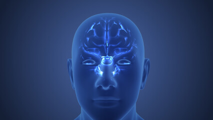 Obraz premium Intelligence of the Human Brain