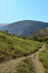 Naklejka premium Winding Dirt Path Through Sun-Drenched Coastal Hills Under a Clear Blue Sky