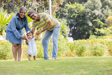 Fototapeta premium Indian Grandparents Helping Baby Take First Steps in Garden