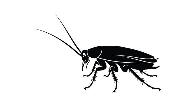 A striking black silhouette depicts a detailed cockroach showcasing its anatomy and form with stark contrast silhouette high quality professional