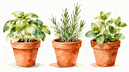 Small Garden Potted Herb Garden isolated watercolor vector illustration svg © Arun168