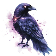 Obraz premium Raven, artistic semi-realistic fantasy style, soft glow effects, watercolor illustration, white background