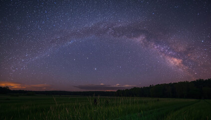 Obraz premium 天の川と低い薄雲が広がり草の露が星を返す静かな夜の草原、人物なし