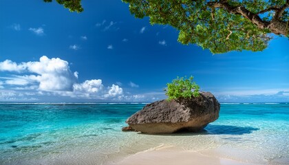 Serene Beach Scene With Green Tree Blue Sky White Clouds Framed By Large Gray Rock Serene Moana