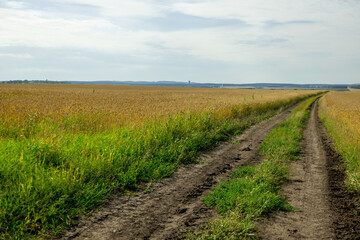 Obraz premium Road through a field during daytime with clouds in the sky and distant hills in the background