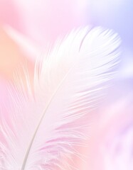 Obraz premium A delicate white feather rests against a soft, pastel background of pink, lavender, and peach.