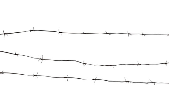 Old barbed wire isolated on white background